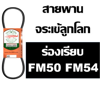 จระเข้ลูกโลก สายพาน ร่อง FM ร่องเรียบ FM50 FM54 50 54