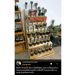 ชั้นวางของ วางต้นไม้ ทรงขั้นบันได 6 ชั้น งานไม้สักแท้