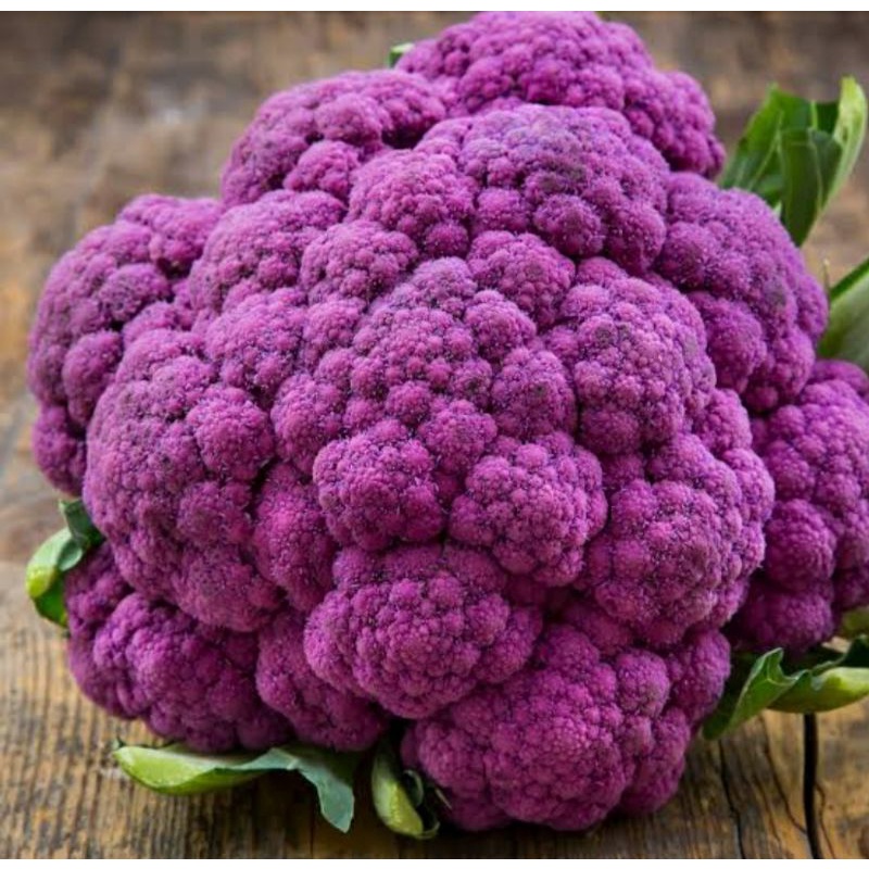 เมล็ดพันธุ์กะหล่ำดอกสีม่วง Purple Cauliflower Seed บรรจุ 100 เมล็ด นำเข้าจากต่างประเทศ ของแท้ คุณภาพ