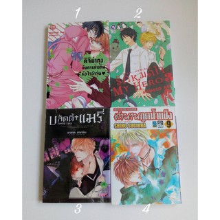 หนังสือการ์ตูนเศษ : คิจิม่าคุง / รักหมดใจ My Hero / บลัดดี้แมรี่ / ตำนานภูตน้ำแข็ง