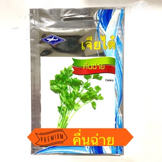 เมล็ดพันธุ์ คื่นฉ่าย 🌱 เจียไต๋ (Celery Chia Tai)