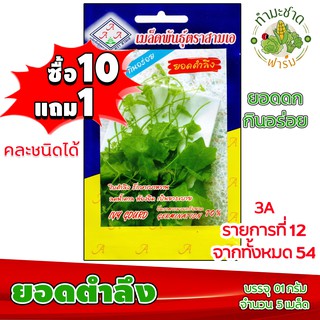 (ซื้อ10แถม1) เมล็ดพันธุ์ ตำลึง Ivy Gourd ประมาณ 5เมล็ด 3A สามเอ ผักสวนครัว เมล็ดพันธุ์พืช เมล็ดผัก เม็ดผัก พืชผัก