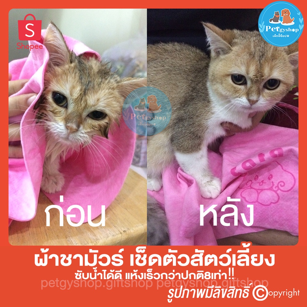 ผ้าชามัวร์ เช็ดตัวสัตว์เลี้ยง ซับน้ำได้ดี รูปที่ 5
