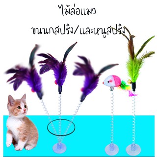 #T006 / T007 ไม้ตกแมว ของเล่นแมว ตุ๊กตาของเล่น สำหรับสัตว์เลี้ยง รุ่น สปริงมีจุ๊บสุญญากาศ