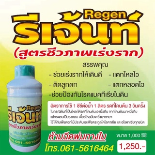 ☘️เร่งรากRegent(รีเจ้นท์)☘️ระเบิดหน่อ#รีเจ้นท์ชีวภาพ100%