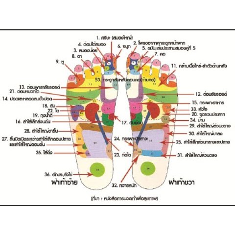 แพ็คคู่ราคาสุดคุ้ม!!!ที่นวดรูปฝ่าเท้า+++ที่นวดเท้าแบบนวดรูปโค้ง ไม้นวดเท้าเพื่อสุขภาพ คลายปวดเท้า - รูปที่ 5