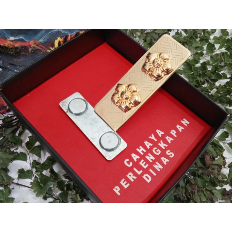 ASN 4A คอปก Tanjab**