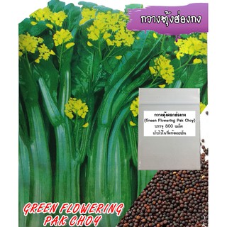 เมล็ดผักกวางตุ้งดอกฮ่องกง (Green Flowering Pak Choy) 800 เมล็ด กวางตุ้งดอก เมล็ดกวางตุ้งดอก เมล็ดพันธุ์กวางตุ้งดอก