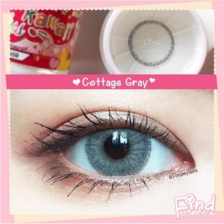 Cottage gray พร้อมส่งค่าสายตา (kittykawaii)