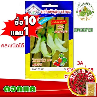 เมล็ดพันธุ์/[10แถม1] 3A เมล็ดพันธุ์ ดอกแค ประมาณ 50 เมล็ด /ซอง ตราสามเอ เมล็ดพันธุ์ผัก เมล็ดผัก เมล็ดพืช ผักสวนครัว ปลูก