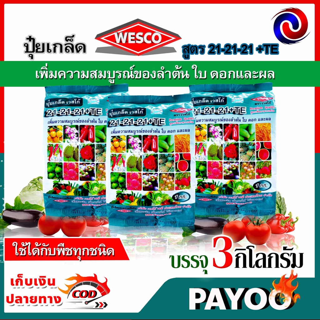 แพ็ค 3 กิโลกรัม WESCO ปุ๋ย 21-21-21 +TE(ธาตุรองเสริม) ปุ๋ยเกล็ดเวสโก้ เพิ่มความสมบูรณ์ของลำต้น ใบ ดอ