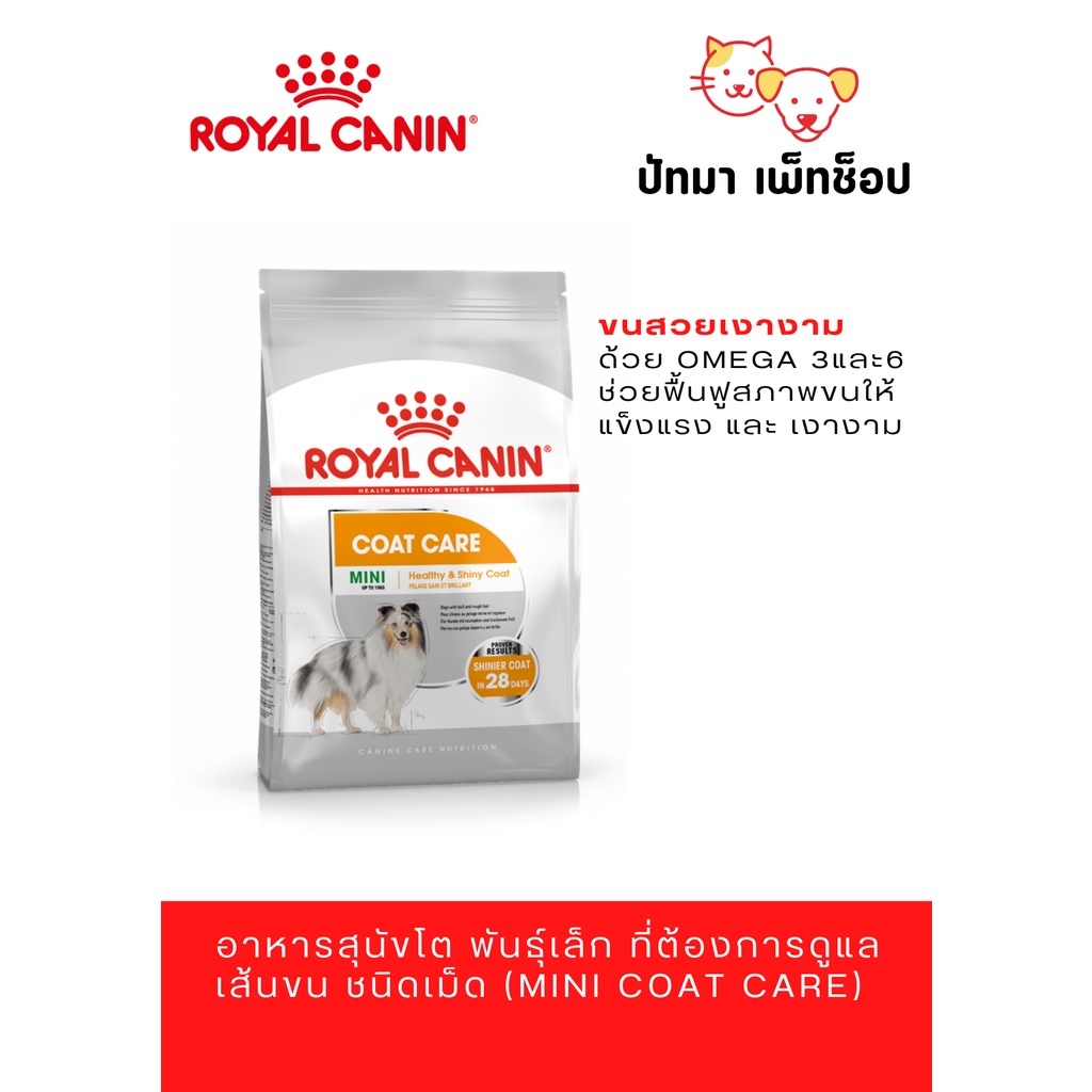 ( 3 กก. ) Mini Coat Care / Royal Canin สูตรบำรุงขนสุนัข