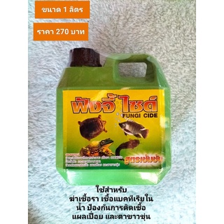 ฟังจี้ ไซด์ Fungi Cide ขนาดบรรจุ 1ลิตร สูตรเข้มข้น ทำลายเชื้อรา แบคทีเรีย สำหรับสัตว์น้ำ