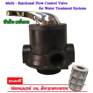 หัววาล์วควบคุมถังกรองน้ำไฟเบอร์กลาส(FRP)คันโยก Carbon - ขนาดรูน้ำเข้า-ออก 1 นิ้ว