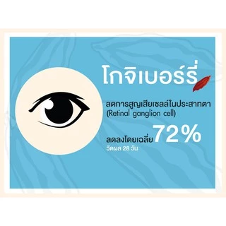 MyBraini+ (มายไบรนี่พลัส) โปร 5 กล่อง - รบำรุงสมอง ความจำ คิดค้นโดยผู้เชี่ยวชาญด้านสมุนไพรกว่า 10ปี