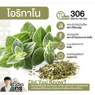 SHAWN SPICE ออริกาโน่ (oregano) คุณภาพดี เครื่องปรุง ผงปรุงรส เครื่องเทศ สมุนไพร