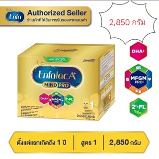 Enfalce A+1 mindpro ขนาด 2,850กรัม /1ซอง