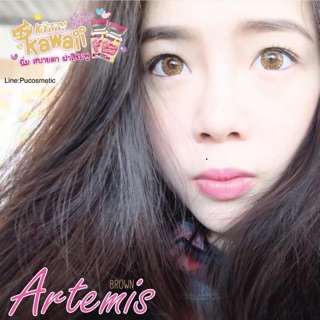 🍁Bigeyes Arthemis Brown🍁สายตาปกติ(kitty kawaii)