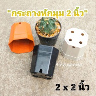 กระถาง 2 นิ้ว หักมุม // กด 12 ใบ 25฿ -- หักมุม 8 เหลี่ยม -- กระถางแคคตัส กระบองเพชร กระถางพลาสติก