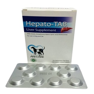 [กล่อง 100 เม็ด] Hepato Tab  บำรุงตับสุนัข บำรุงตับแมว [หมดอายุ 08/2024]