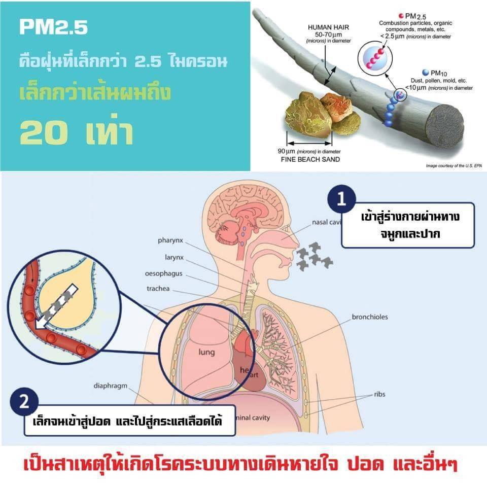 กรองแอร์ ARCTIC สำหรับ Isuzu Mu-x (2013-2019) ATN-6200K รุ่น Nano-Guard (ฆ่าเชื้อโรค + ดูดกลิ่นเหม็น + ดักสารก่อภูมิแพ้) - รูปที่ 3