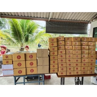แพ็คคู่ ทุเรียนทอดเกรดc เหลืองกรอบ 1 กิโลกรัม (500 กรัม ×2 ถุง)