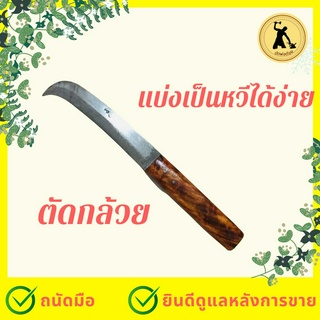 มีดพ่อต้อย มีดตัดกล้วย มีดแบ่งกล้วย