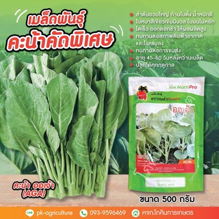 เมล็ดพันธุ์ คะน้าออเจ้า ขนาด 500 กรัม