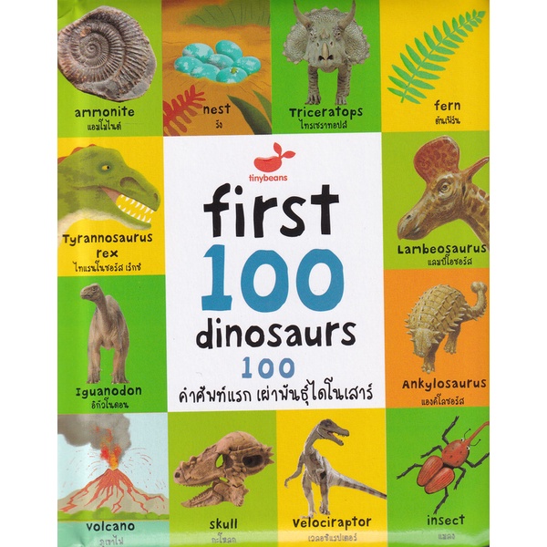 Se-ed (ซีเอ็ด) : หนังสือ First 100 Dinosaurs 100 คำศัพท์แรก เผ่าพันธุ์ไดโนเสาร์ (ปกแข็ง)