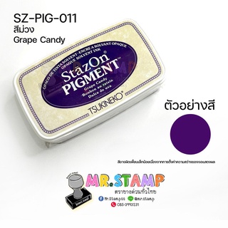 หมึกกันน้ำ ปั๊มพลาสติก Stazon Pigment SvoP