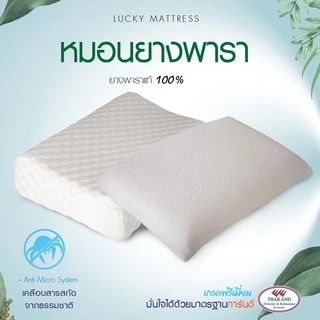 LUCKY mattress หมอนหนุนยางพารา Natural Latex Pillow