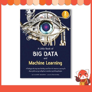 หนังสือ A Little Book of Big Data and Machine Learning 9786164871380