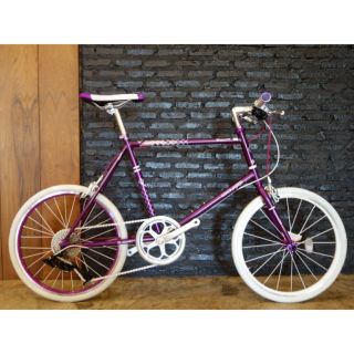 จักรยานมินิ เวโล่ Roadmaster BUSKER V1