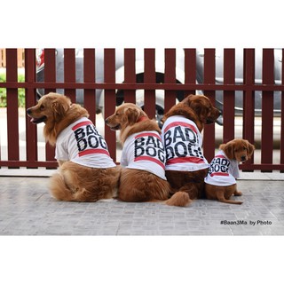 Bigdog-Pet cloths -Doggydolly เสื้อผ้าหมาใหญ่ Bigdog หมาใหญ่ เสื้อเชิ๊ต ชุดกระโปรง เสื้อยืด 11-45 โล BD401