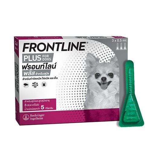 ของแท้ ยาหยอดหมัดแมว Frontline Plus กำจัดเห็บหมัด เห็บแมว เห็บสุนัข กล่อง 3 หลอด