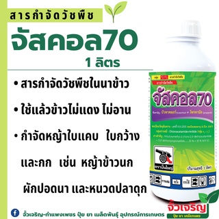 จัสคอล70 1L. สารกำจัดวัชพืชในนาข้าว บิวทาคลอร์ โพรพานิล ข้าวไม่แดง หญ้าข้าวนก หญ้าดอกขาว กกขนาก หนวดปลาดุก