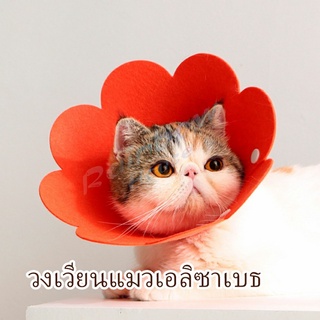 Rainbow คอลล่าแมว ปลอกคอดอกไม้ ปลอกคอกันเลีย คอลล่าสุนัข  Cat coll