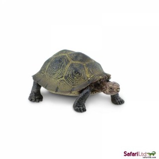 Safari Ltd. : SFR295329* โมเดลสัตว์ Desert Tortoise