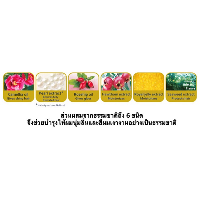 ครีมโฟมปิดผมขาว Salon de Pro จาก Dariya สีนํ้าตาลดำ เบอร์ 6 เกรดพรีเมี่ยมของญี่ปุ่น ทำง่าย