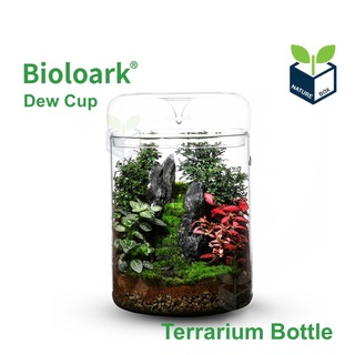 Bioloark Dew Cup Terrarium Bottle (Biolark) (มีสินค้าพร้อมส่ง) ไบโอลาร์ค โหลแก้ว จัดสวนขวด เทอราเรี่ยม