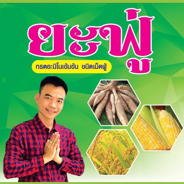 ยะฟู่ อะมิโนเข้มข้น V.1 ฮอร์โมนพืช เร่งเขียว เร่งโต ออกรวงเยอะมาก