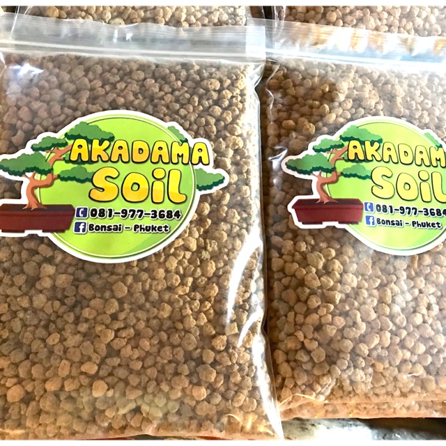 ดินอะคาดามะ ( Akadama Soil )