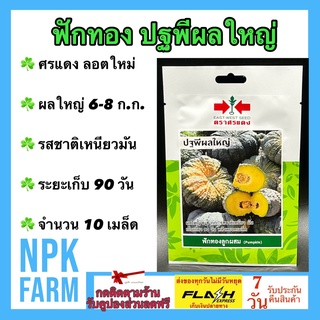 ผักซองศรแดง ฟักทองปฐพีผลใหญ่ จำนวน 10 เมล็ด/ซอง เมล็ดพันธุ์ ลอตใหม่ งอกดี ปลูกง่าย ผลใหญ่ 6-8 ก.ก. รสชาติเหนียวมัน
