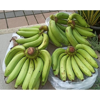 กล้วยหอมทอง 🍌Gros Michel banana กล้วยน้ำว้า 🍌Pisang Awak banana สวนเพชรบุรี