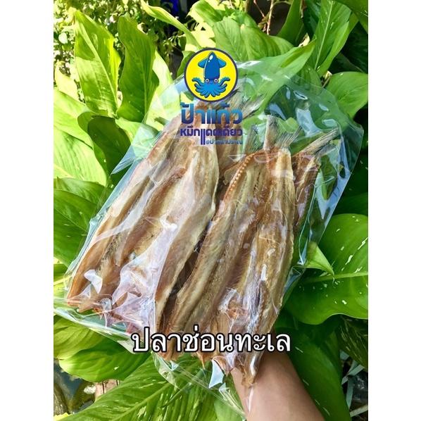 ปลาช่อนทะเลใหญ่  สดใหม่ ทอดได้ ย่างได้ กินกับข้าวสวย ข้าวเหนียว อร่อย