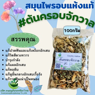 ต้นครอบจักวาล ขนาด 100 กรัม ทำให้เจริญอาหาร