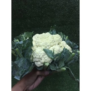 ดอกกะหล่ำสด 1หัว (300-400กรัม)🥦 - ดอกกระหล่ำ ผักผลไม้สด ผักสลัด