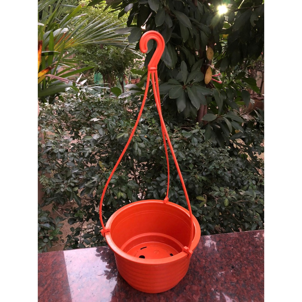 กระถางต้นไม้ กระถางพลาสติก กระถางแขวน ขนาด 8 นิ้ว - รูปที่ 3