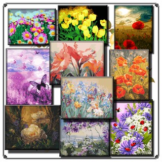 40*50Cm Diy ภาพวาดสีน้ำมัน ภาพระบายสีตามตัวเลข Painting Paint By Numbers Flower On Champaign a