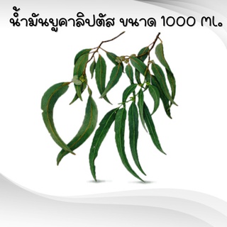 Encalyptus Oil (น้ำมันยูคาลิปตัส) ขนาด 1000 Ml. รหัสสินค้า 001460